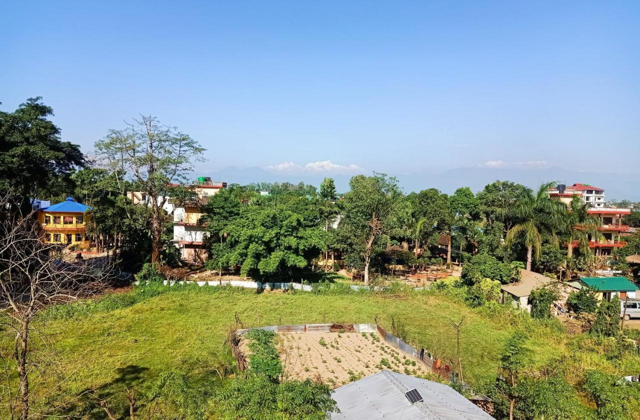 Hotel Rhinoceros-Homestay Sauraha Luaran gambar