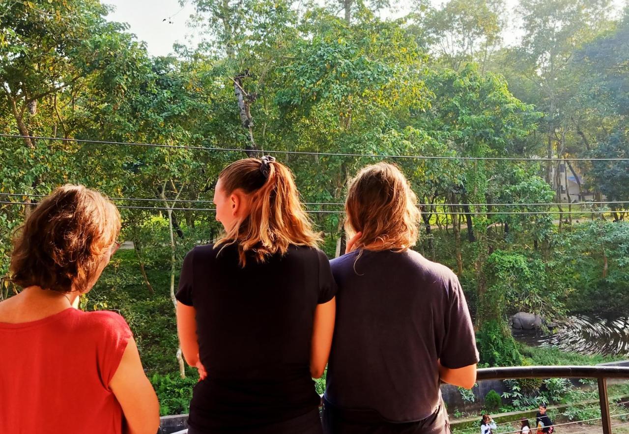 Hotel Rhinoceros-Homestay Sauraha Luaran gambar