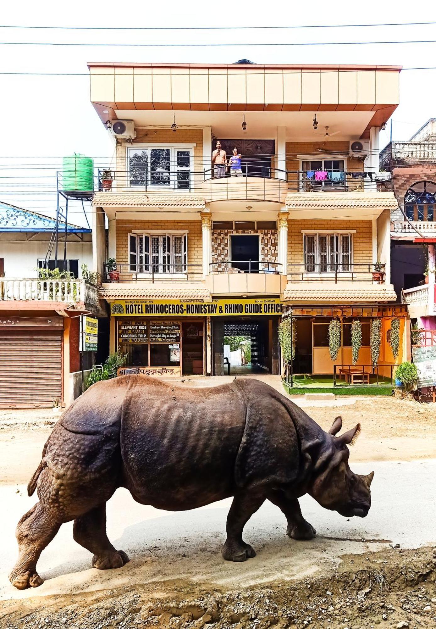 Hotel Rhinoceros-Homestay Sauraha Luaran gambar