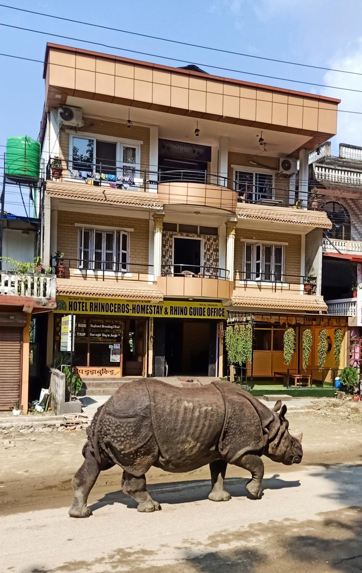 Hotel Rhinoceros-Homestay Sauraha Luaran gambar
