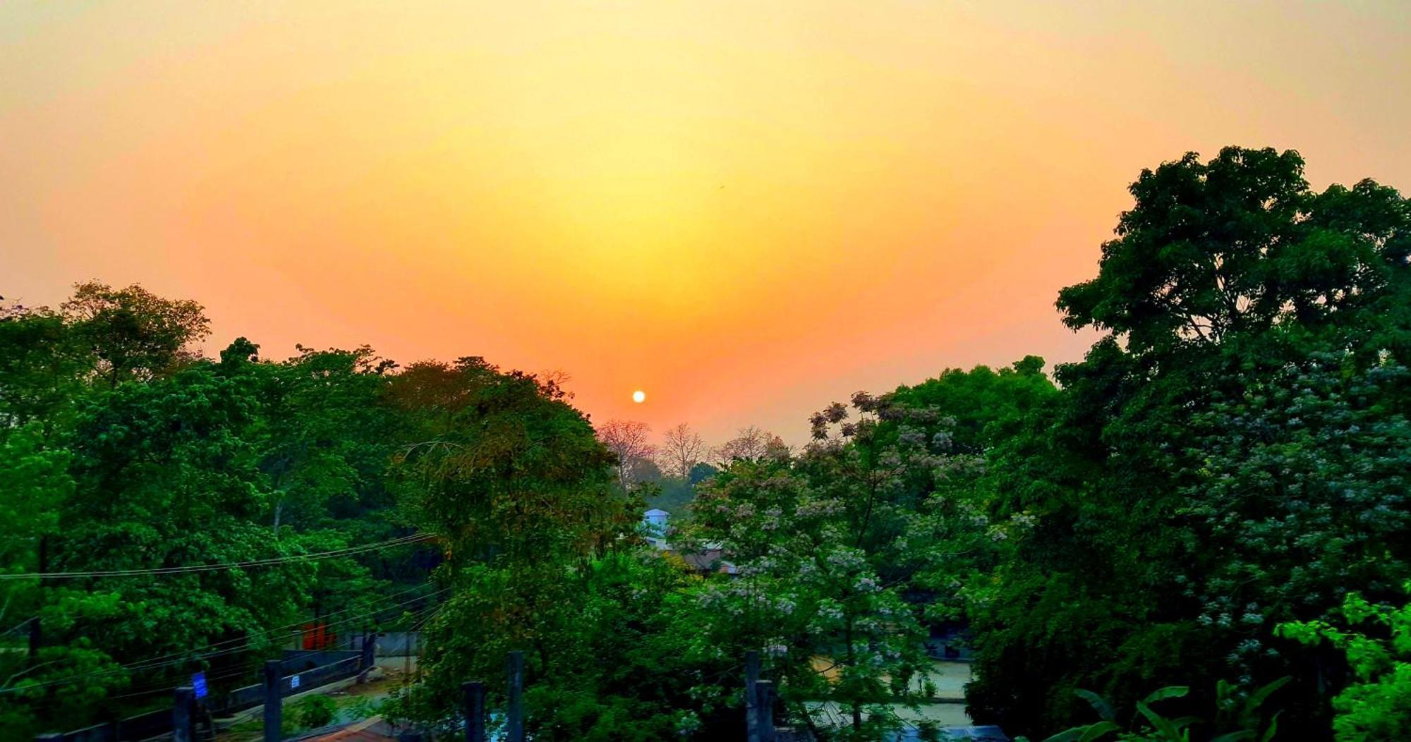 Hotel Rhinoceros-Homestay Sauraha Luaran gambar