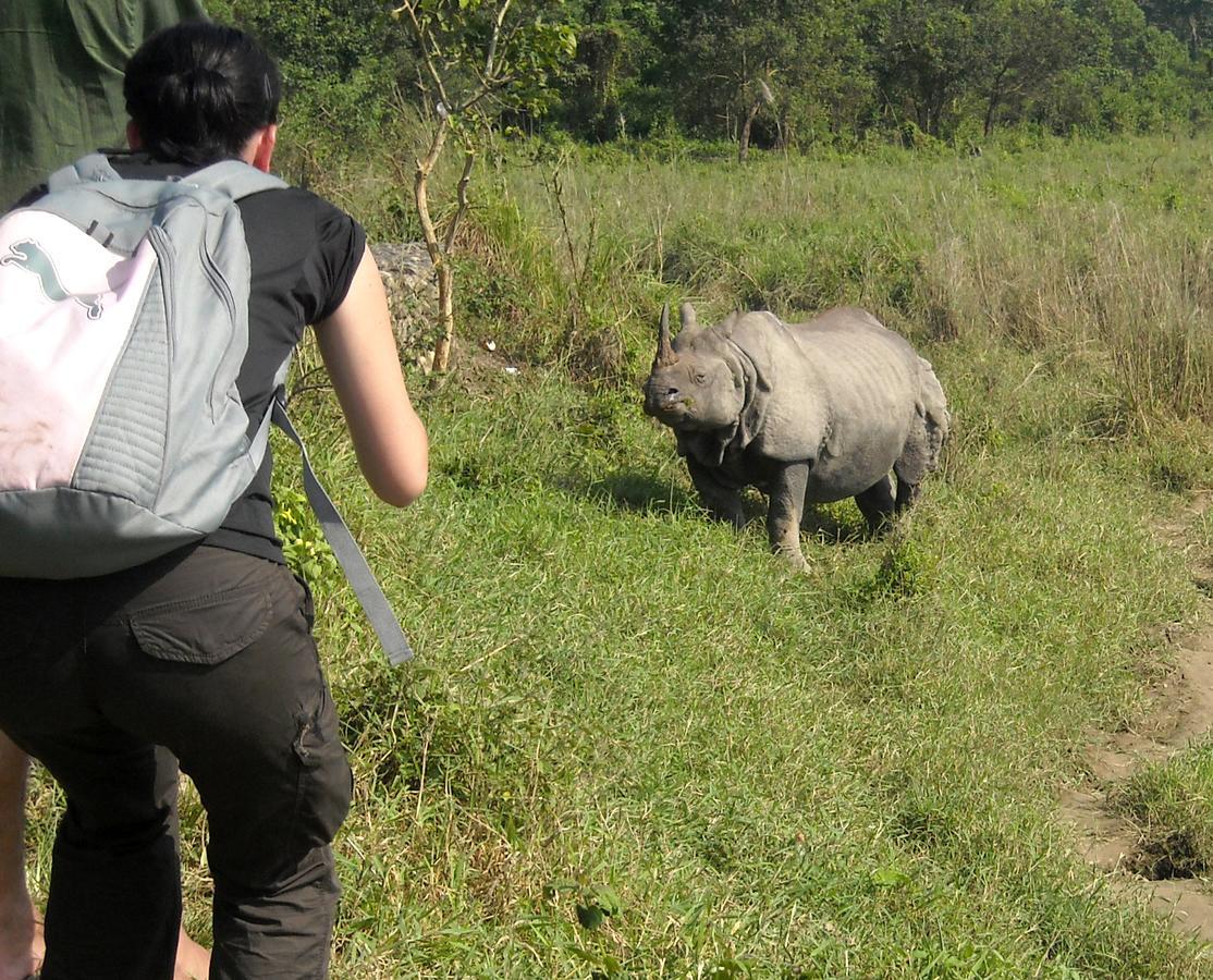 Hotel Rhinoceros-Homestay Sauraha Luaran gambar